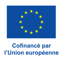 logo fse